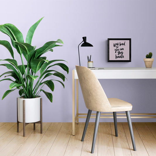 Work Hard so you can Shop Harder