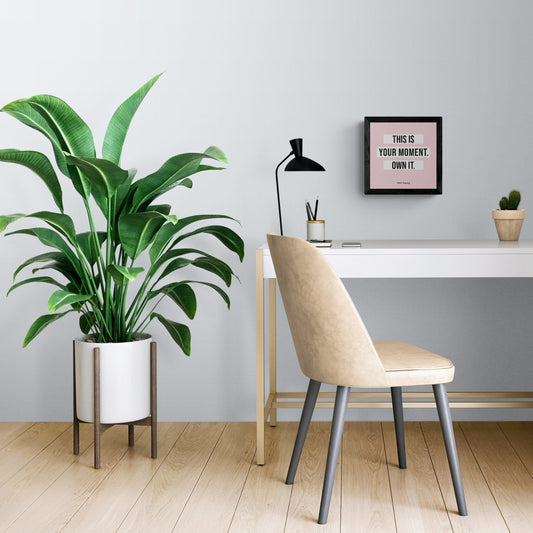 This is your Moment, Own it