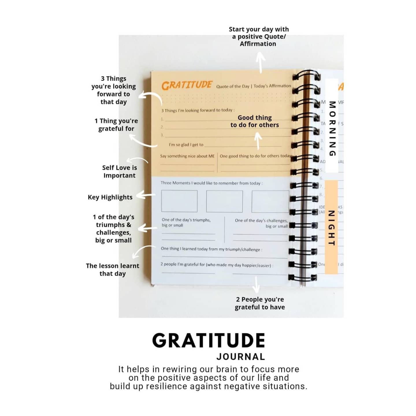 Work From Home (WFH) - Daily Productivity Planner & Gratitude Journal